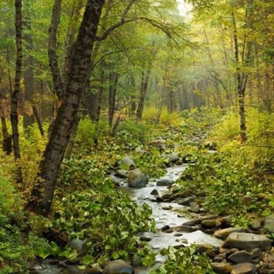 隆鑫通用1元“甩卖”子公司后续：7031万元财务资助逾期，公司称去年已全额计提减值准备