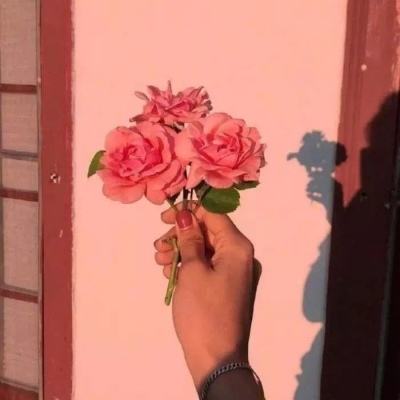崔永元和范冰冰给中国人上了堂税法普及课，就像当年刘晓庆