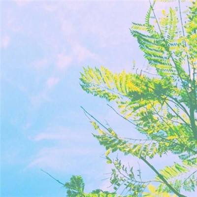 零售企业警告：若伊朗冲突持续数月，将上调商品价格