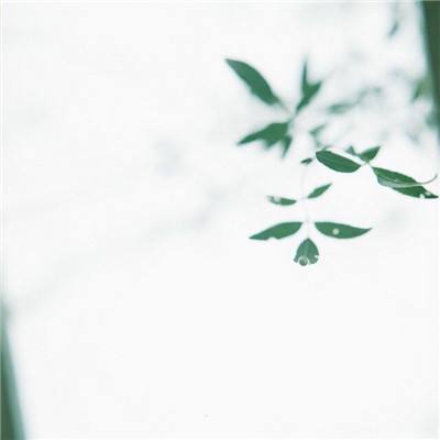 视觉+压缩双引擎驱动，度申科技...